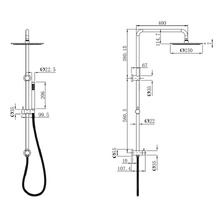 Carson Gooseneck Twin Shower